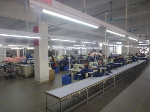 兩會代表談紡織服裝現狀及發展建議